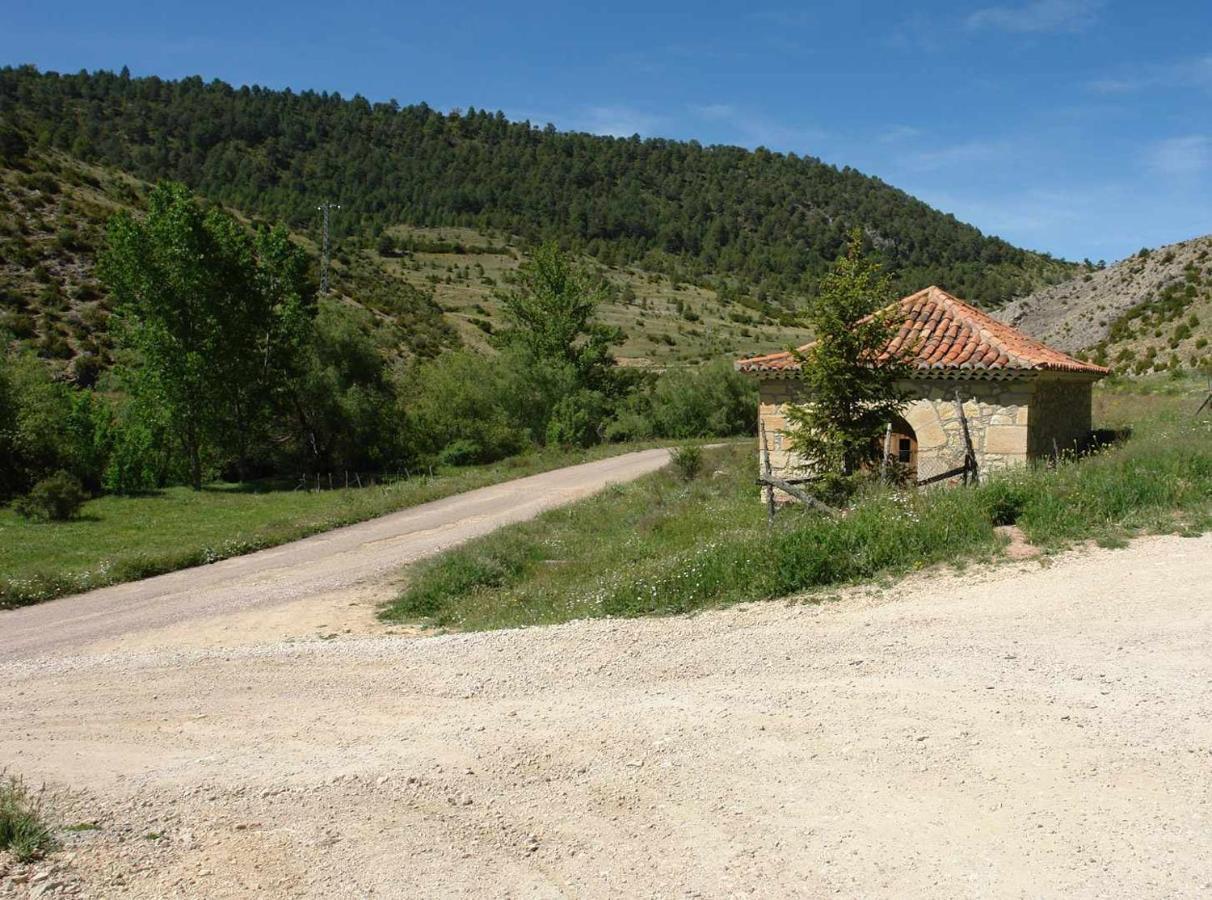 Aliagas Rurales Megina