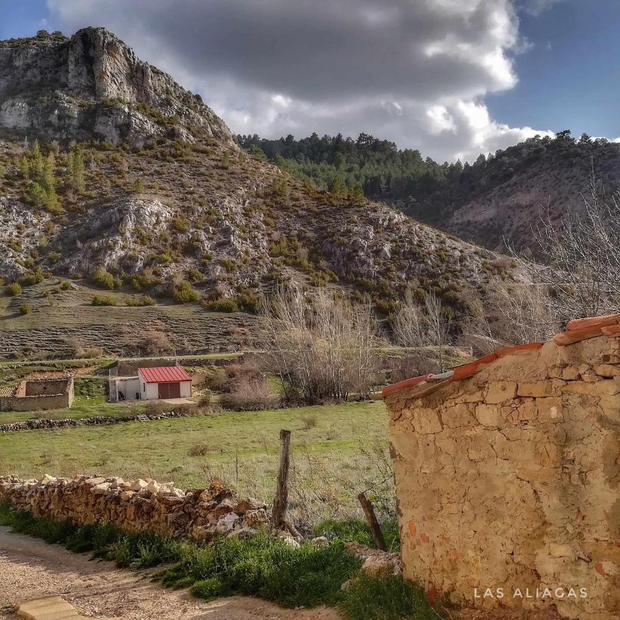 Aliagas Rurales Apartamento